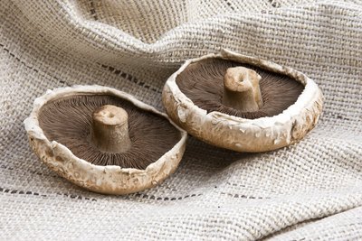 Two large portobello mushrooms.