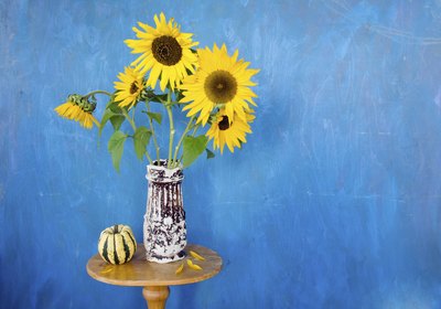 Sunflowers in a vase on a table in a blue room.
