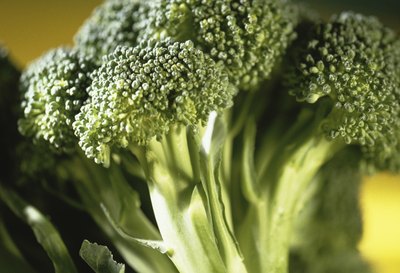 A close up of broccoli florets.