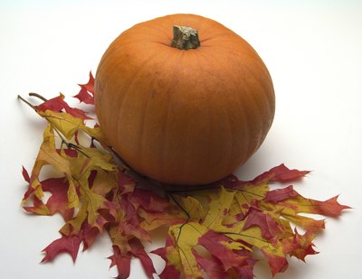 Fall leaves.