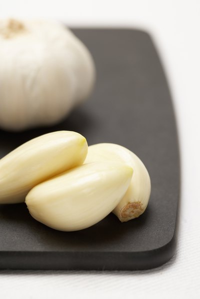 garlic