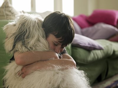 The most natural repellent is, whenever possible, to keep your dog indoors when the mosquitoes are most active, in the late evening.