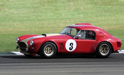 Driving a race car will burn more calories.