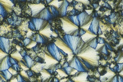 Sodium Silicate crystals magnified 200x.
