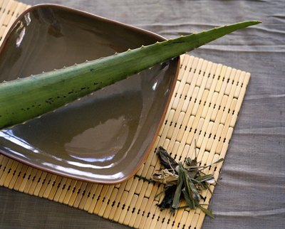 Aloe vera plant leaf.