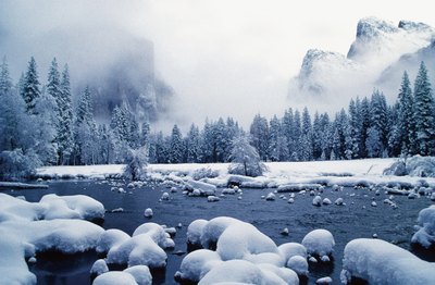 Let snow and ice-covered trees inspire your centerpieces