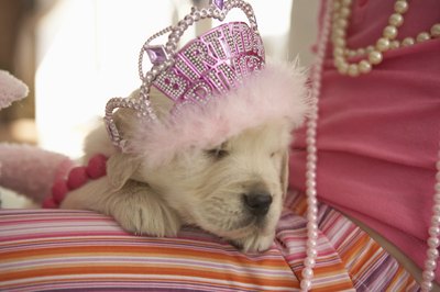 Birthday tiara.