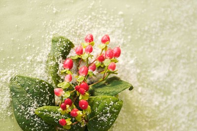 Spray snow enhances holiday decorations.