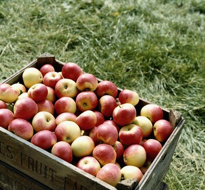 Box of apples