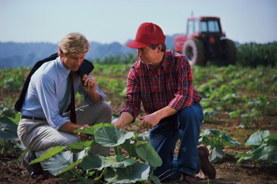 Pollution affects agriculture.