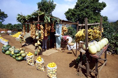 Earning a living can be quite a challenge in Costa Rica.