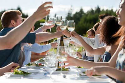 Guests at an out door dinner party.