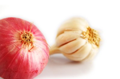 Garlic and onion.