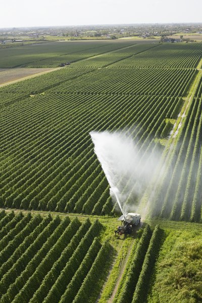 The Northeast region of the United States is home to many important natural resources