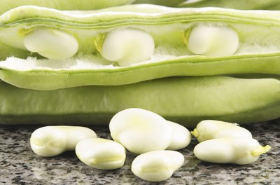 The broad bean originated in the Mediterranean.