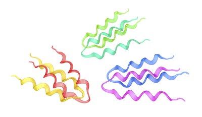 Protein structures.