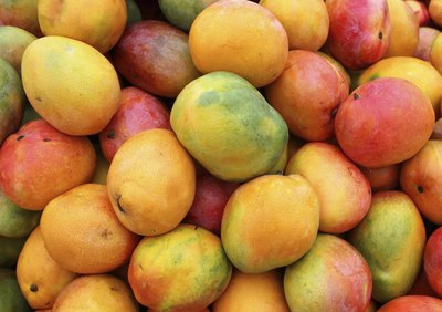 A large pile of ripe mangoes.