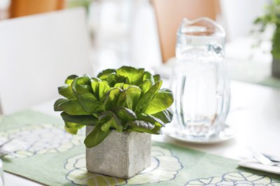 Bunch of basil in small stone vase.