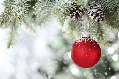 Ornament on Christmas tree.