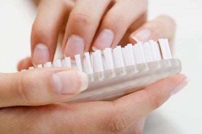woman holding animal brush
