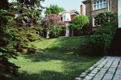Front yard of house