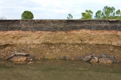 You need a layer of topsoil above sandy soil.