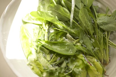 Rejuvenate salad greens with water.
