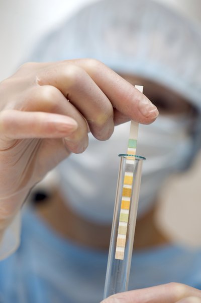 Lab technician holding pH test strip