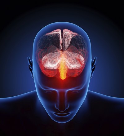 3D rendering of human brain.