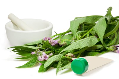 Herbs.