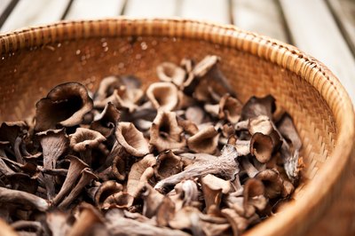 Large basket filled with black trumpet mushrooms.