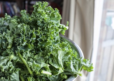 Freshly washed bowl of kale
