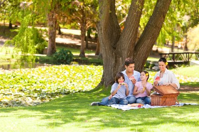A picnic for 30 is much different from a small family picnic.
