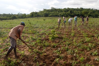 South American farmers
