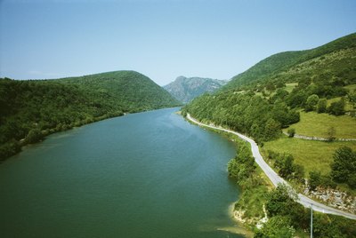 The Effects of Water Pollution on Plants & Animals