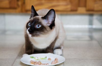 You may try adding fiber to the cats food.