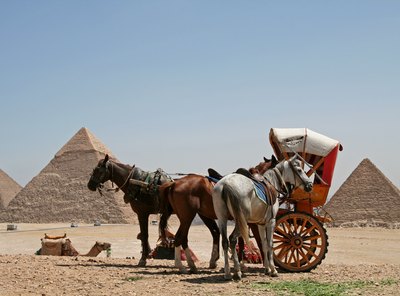 There are many different types of horses and carts all over the world.