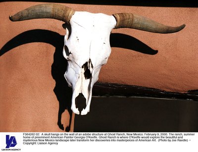 Skull head above Georgia O'Keeffe's home