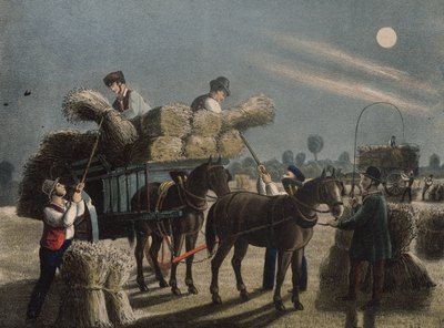 Working with horses & a cart.