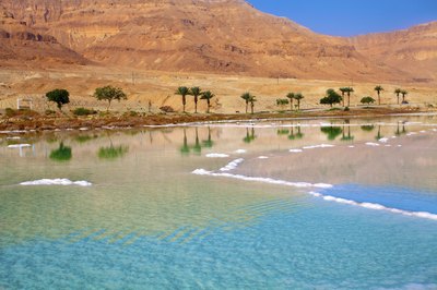 Dead Sea seashore