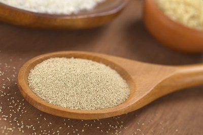 Spoonful of dry yeast