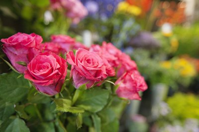 Bouquet of flowers