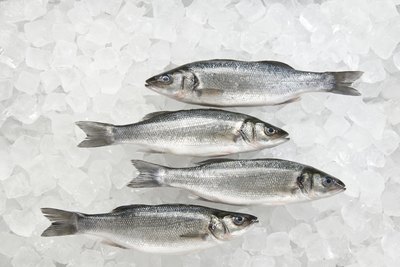 Fresh sea bass on ice.