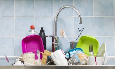 If you're responsible for the pest problem the implied warranty does not apply.