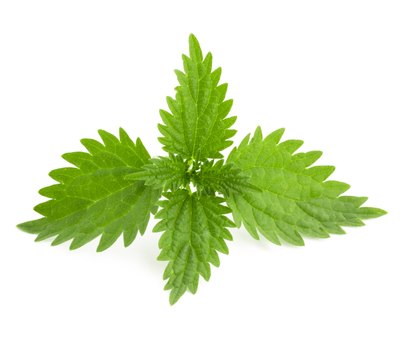 Nettles.