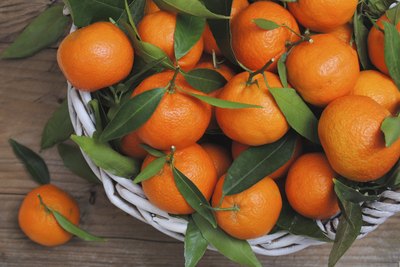 Small basket of mandarin oranges