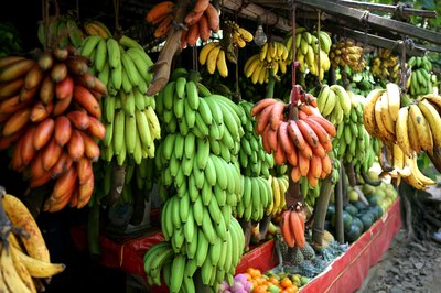 Assorted bananas at a market.