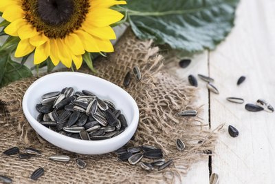Small bowl of sunflower seeds.