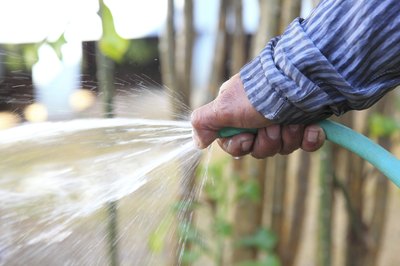 Watering soil with hose