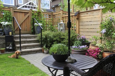 A wooden fence, trellis and potted plants in a private backyard.